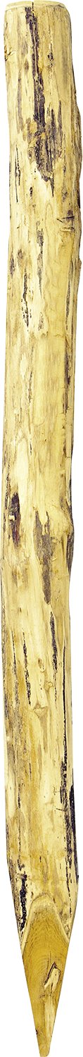 Robinienpfahl rund, Länge 2,25 m, D = 14-16 cm