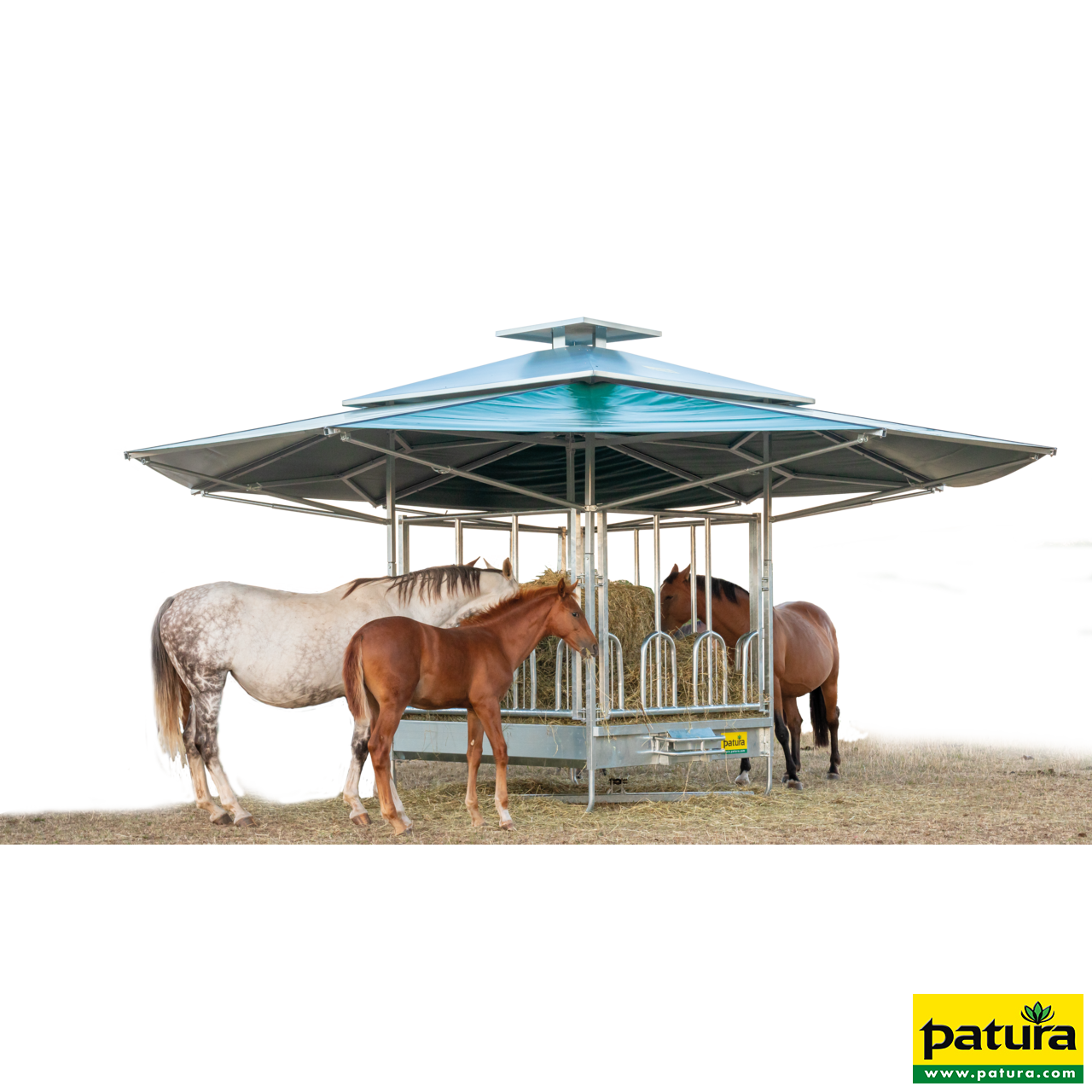 30353111 Patura Klima Viereckraufe mit Universalfressgittern Beispiel Pferde