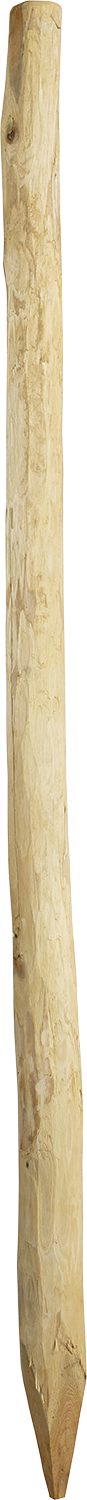 Robinienpfahl, rund, 2,0 m, d= 6-8 cm, gefast, 4-fach gespitzt, entrindet