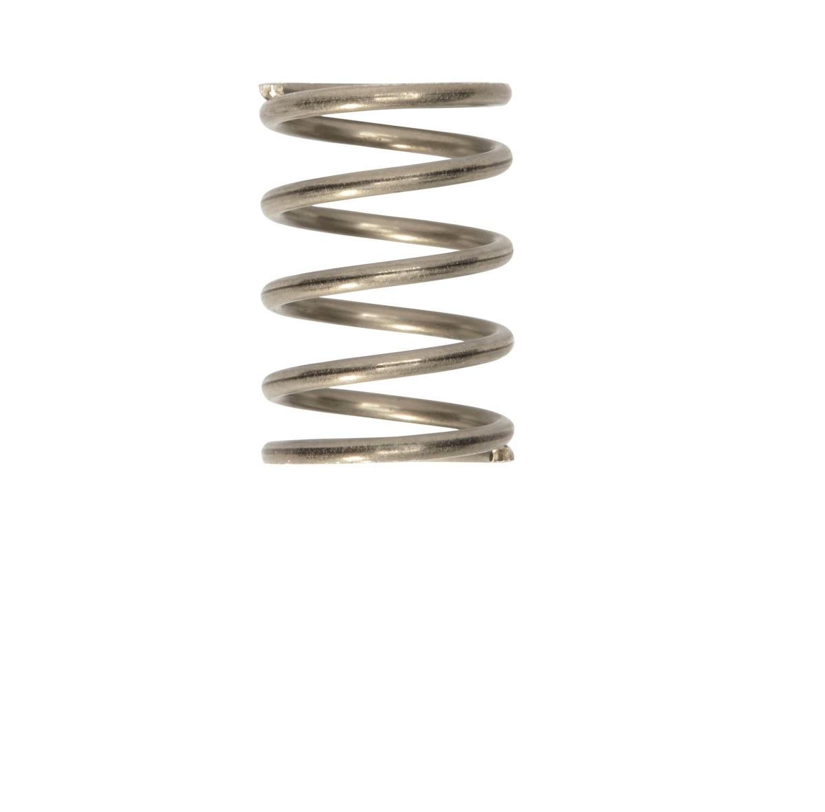 10 Stk. Ventilfeder für Suevia-Rohrventilbecken