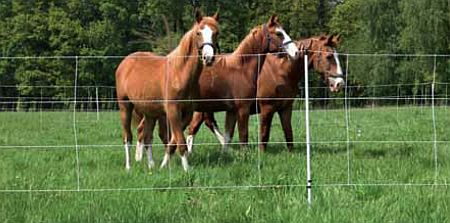 Euro-Netz Pferde 120/2, Länge 30,5 m