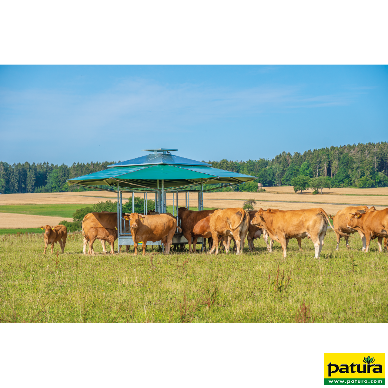 30353111 Patura Klima Viereckraufe mit Universalfressgittern Rinder