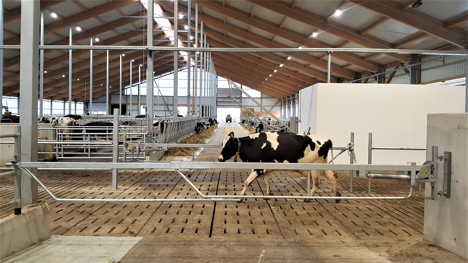 Teleskop-Hubschranke 4 - 6 m