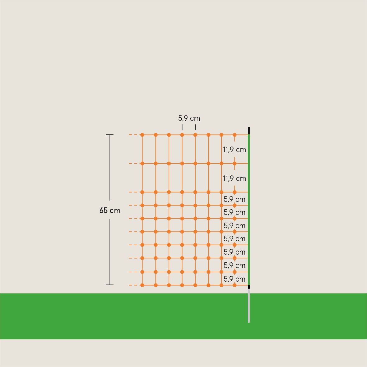 Euro-Netz Ernteschutz 65/1, Länge 50 m