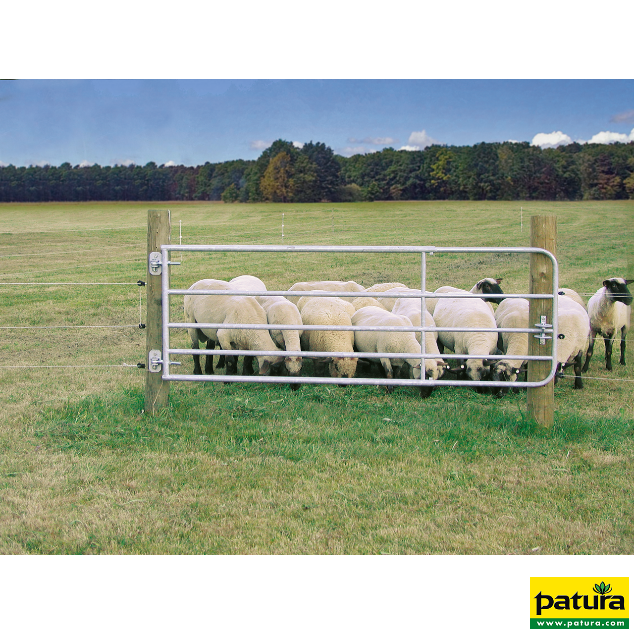 371020 Patura Profi-Weidezauntor, Höhe 90 cm, Länge 1,10 m bis 1,70 m, Beispiel Schafe