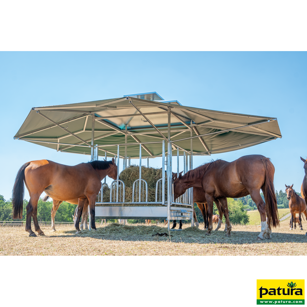 30353111 Patura Klima Viereckraufe mit Universalfressgittern Pferde