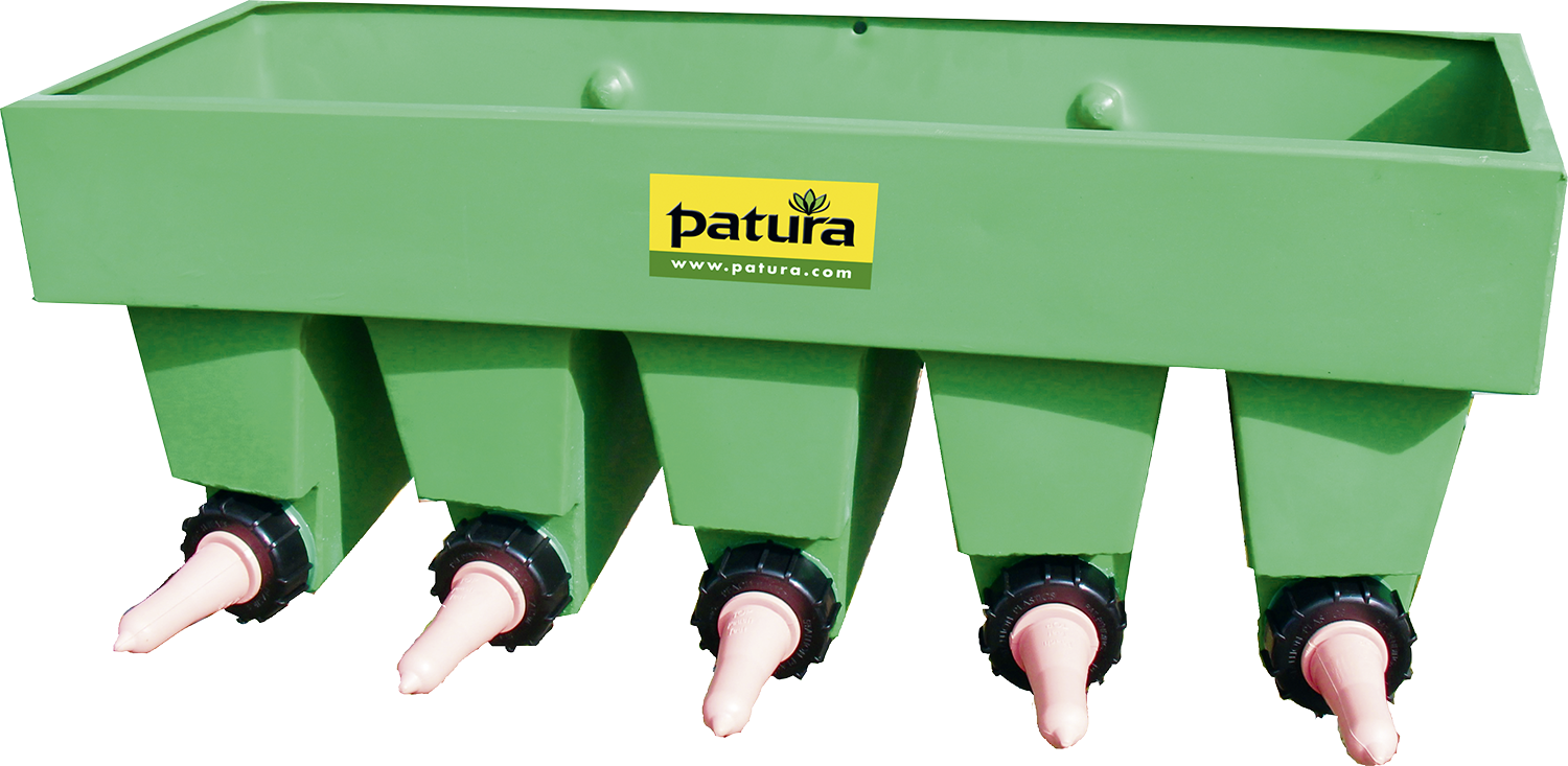 Kälber-Bar, 5 Nuckel, mit Fächern